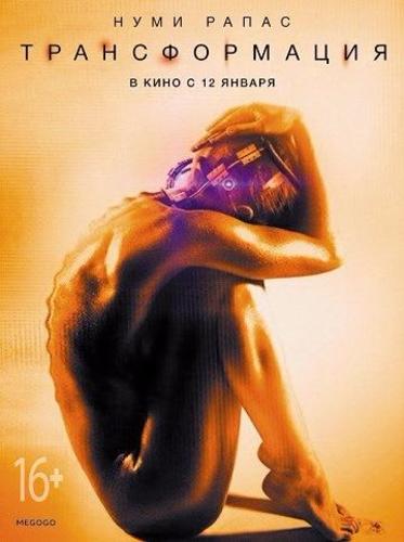  (2016)