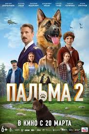  2 (2024)