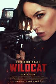   (2025) Wildcat